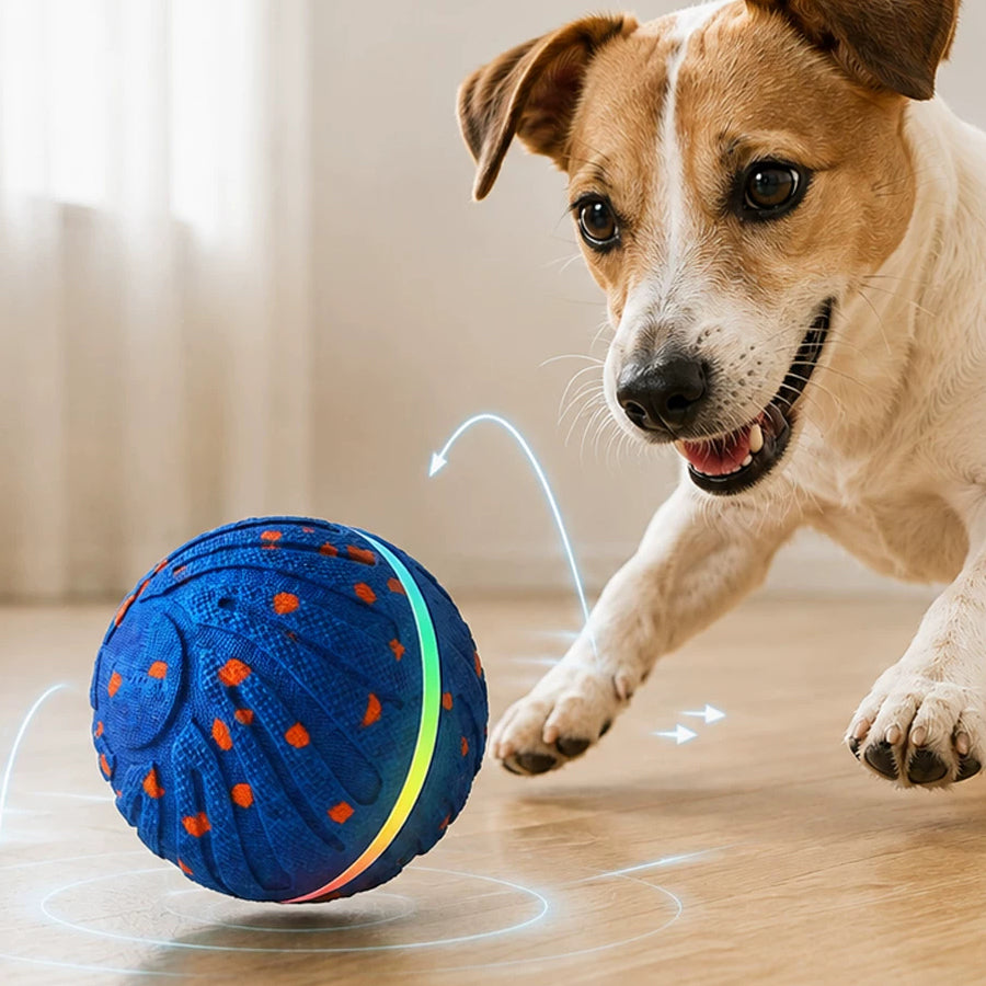 The Auto Roll – Self-Rolling Chew-Resistant Ball For Dogs.
