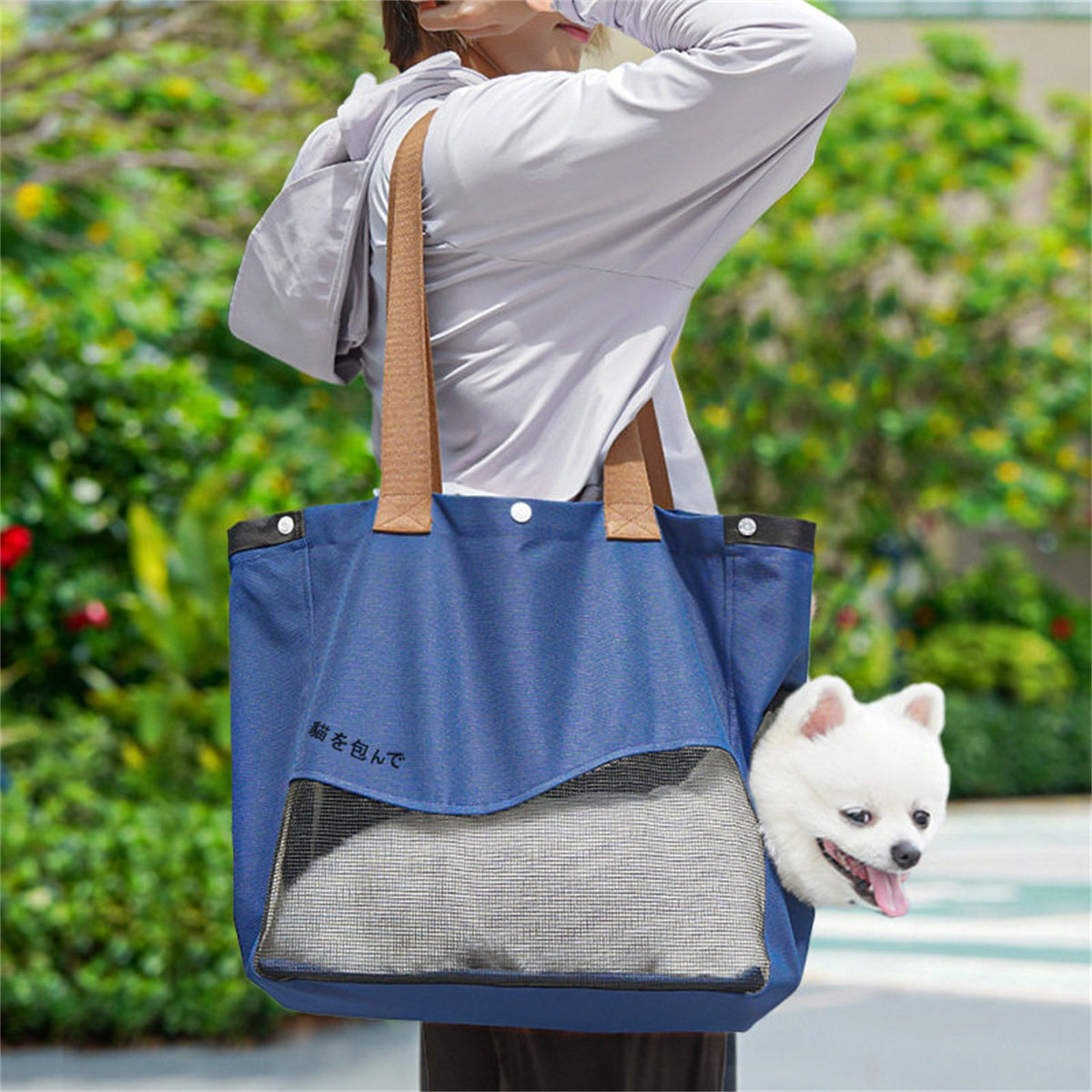 The Lion Cub – Cat & Small Dog Carrier With Head-Out Design.