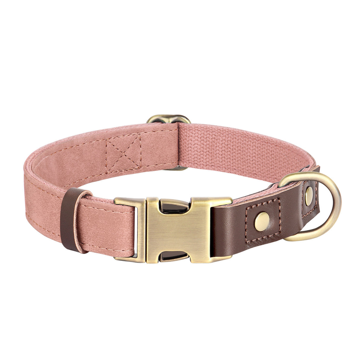The Safe Keeper – Engraved Dog Collar with ID Tag