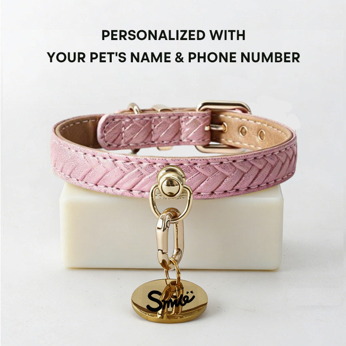 The Gentle Fit – Custom Engraved Leather Dog Collar
