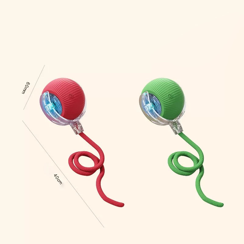 The Auto Fetch – Smart Electric Jump Ball With Rope For Dogs.