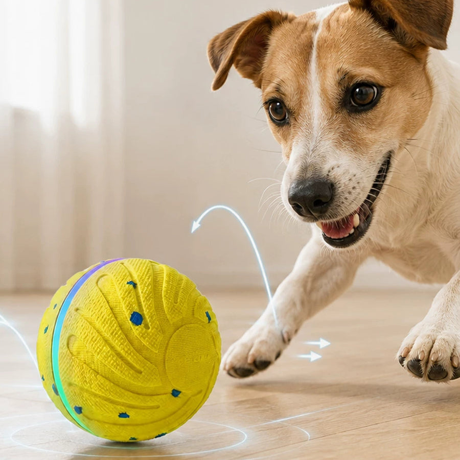 The Auto Roll – Self-Rolling Chew-Resistant Ball For Dogs.