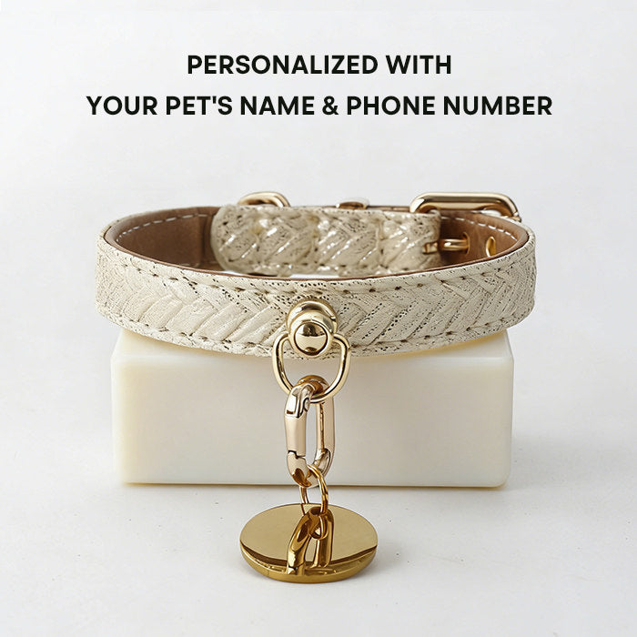 The Gentle Fit – Custom Engraved Leather Dog Collar