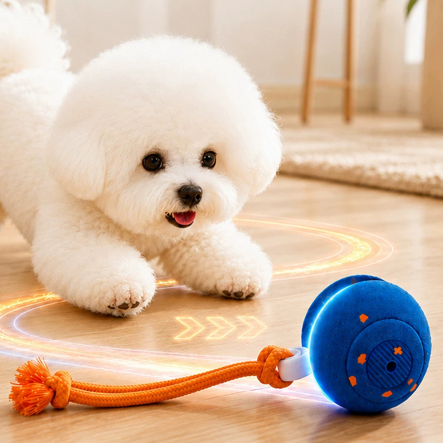 The Auto Roll – Self-Rolling Chew-Resistant Ball For Dogs.