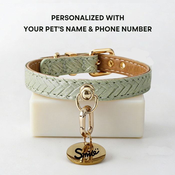 The Gentle Fit – Custom Engraved Leather Dog Collar