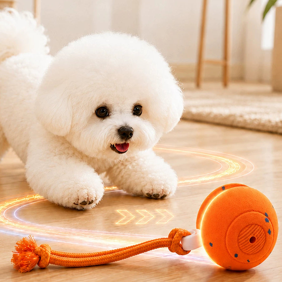 The Auto Roll – Self-Rolling Chew-Resistant Ball For Dogs.