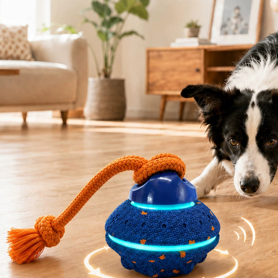 The Auto Roll – Self-Rolling Chew-Resistant Ball For Dogs.