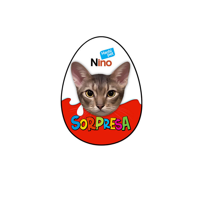 The Shaped Portrait – Cartoon Pet Rug In Your Pet's Shape.