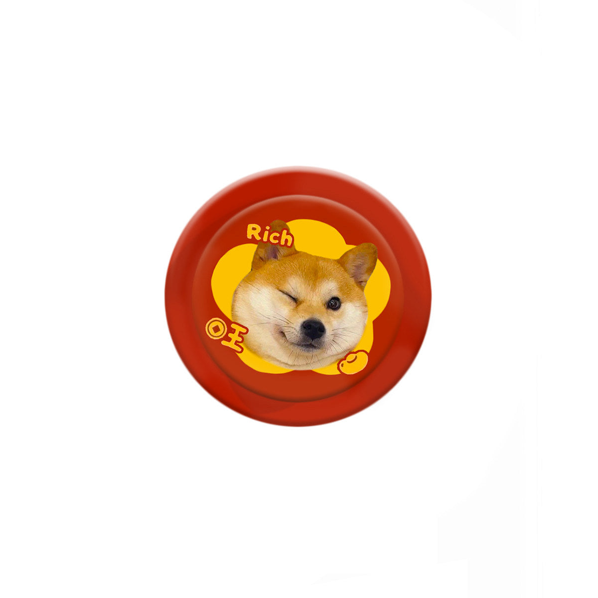 The Film Frame – Custom Pet Photo Phone Grip & Stand