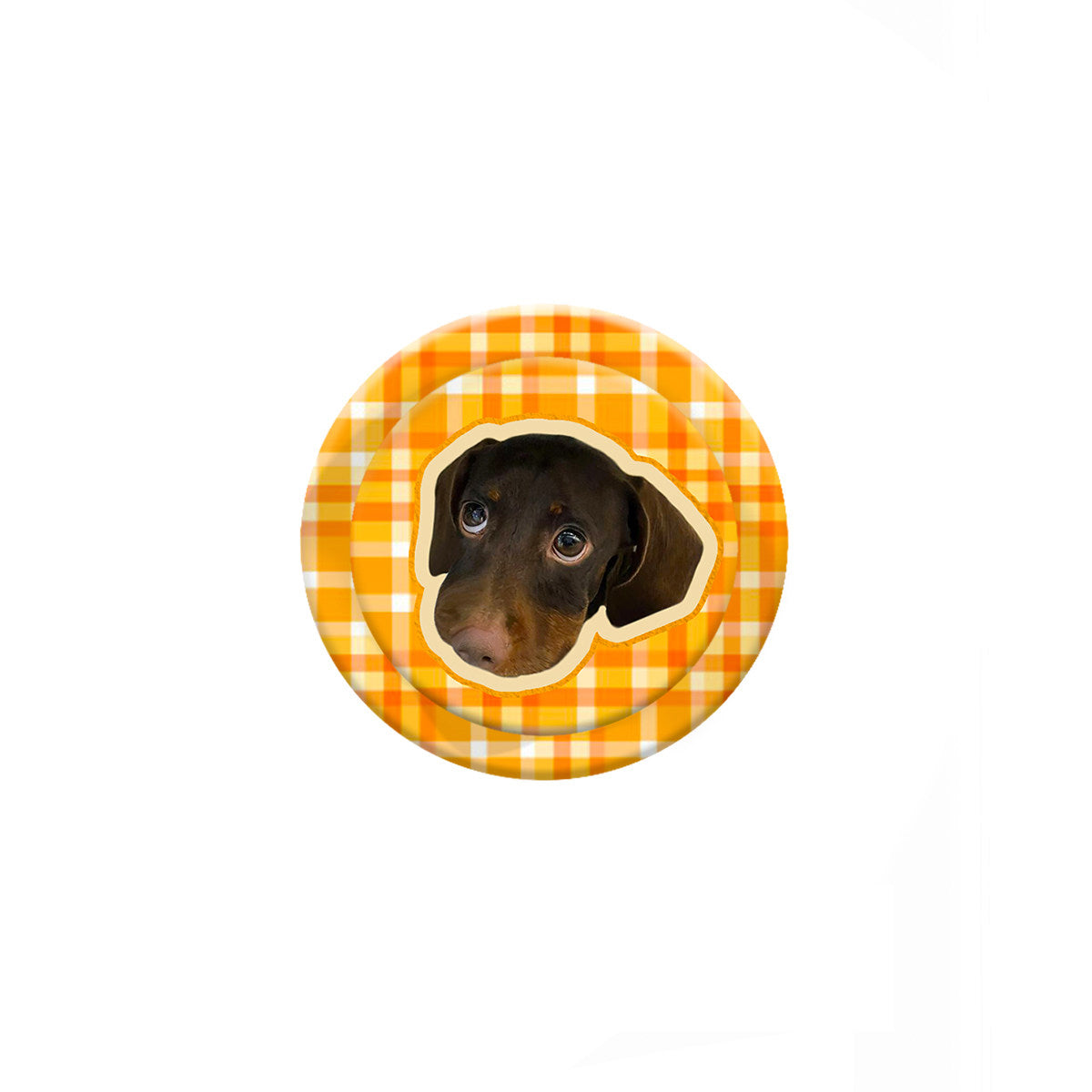 The Film Frame – Custom Pet Photo Phone Grip & Stand