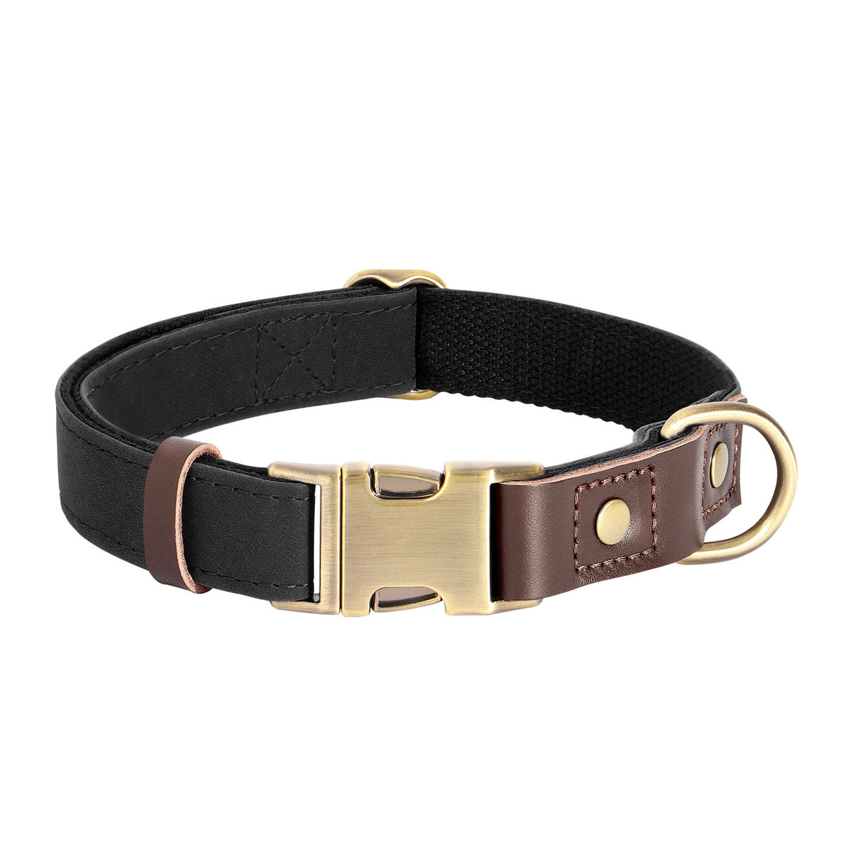 The Safe Keeper – Engraved Dog Collar with ID Tag