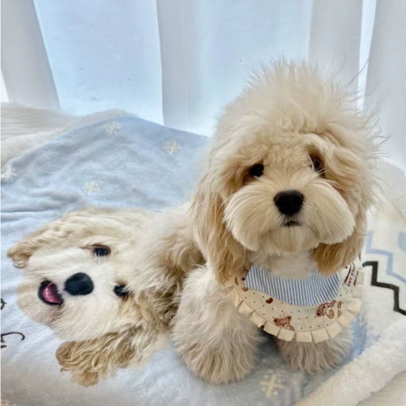 The Cozy Keepsake – Custom Pet Photo Blanket