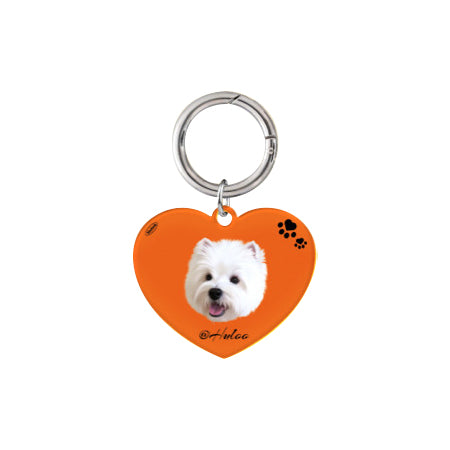 The ID Tag:Custom Dog & Cat Heart Charm