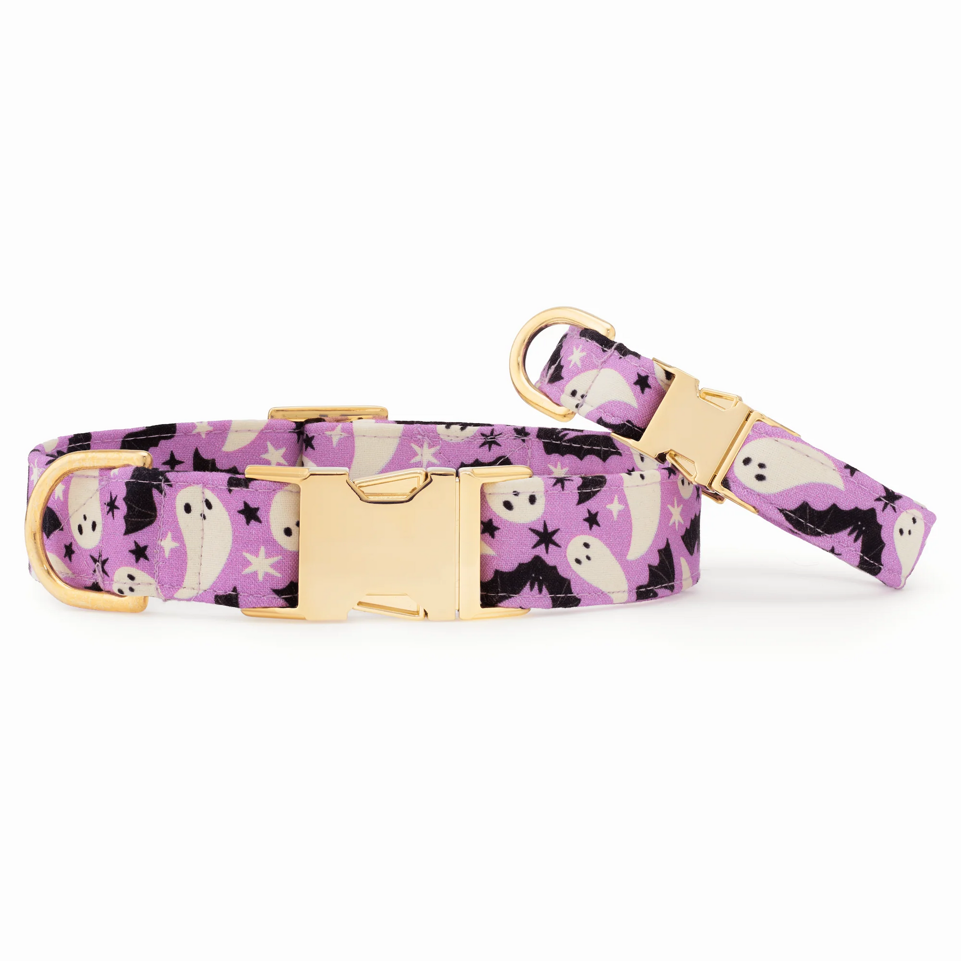 Spooky Season Dog Collar