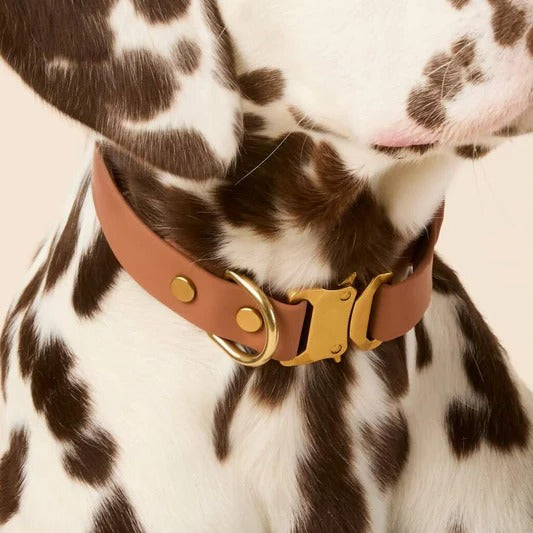 Spooky Season Dog Collar (Copy)