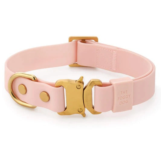 Spooky Season Dog Collar (Copy) (Copy) (Copy) (Copy)